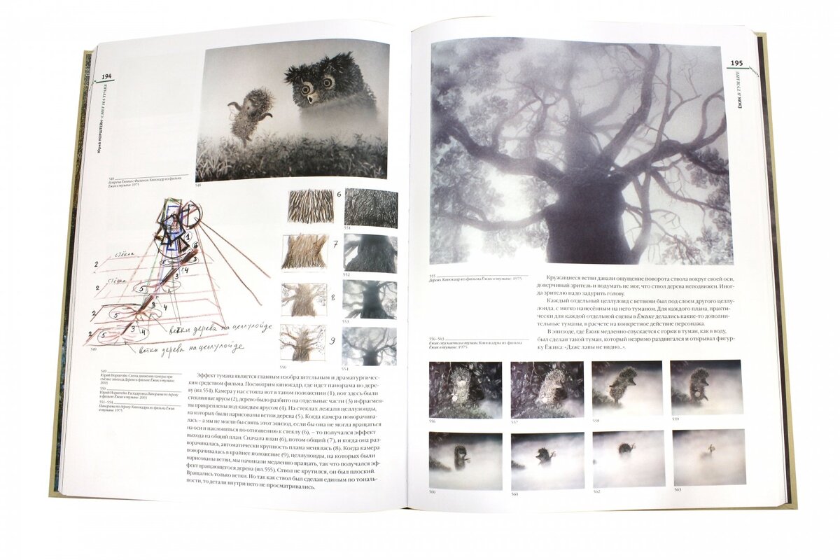 Книга Ю. Норштейна «Снег на траве»