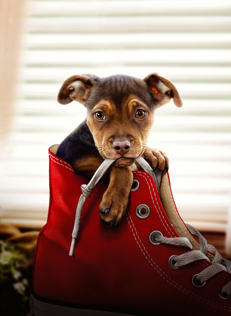 фото с Яндекс. Картинки