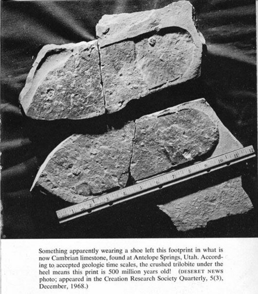 
"... На нашей Земле археологи обнаружили некогда жившее существо, называемое трилобитом. Оно существовало 600–260 млн. лет тому назад, после чего вымерло. Американский ученый нашел окаменелость трилобита, на которой виден след человеческой ноги, причем с ясным отпечатком ботинка. Не делает ли это историков предметом шутки? Исходя из эволюционной теории Дарвина, как мог существовать человек 260 млн. лет назад?"
Отрывок из книги "Фалунь Дафа".