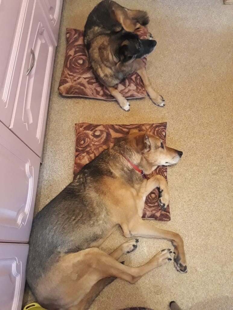 Эльза и Нелли