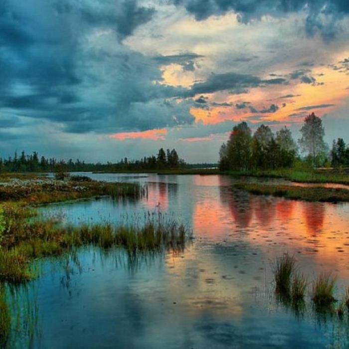 Источник: Яндекс. Картинки.