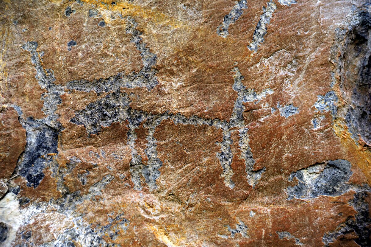 Петроглифы