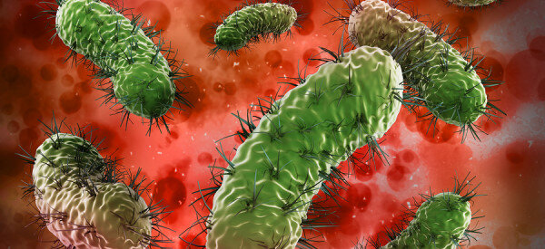 Почему даже малое количество микробов может погубить любой имплантат