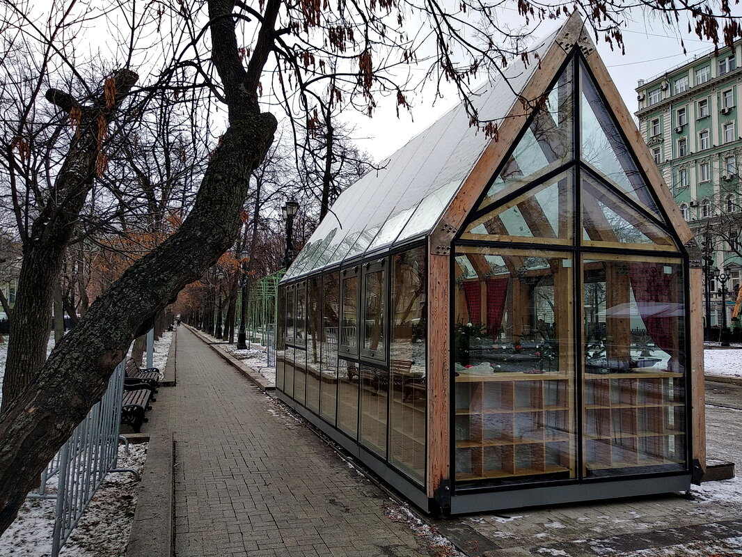 Фото автора