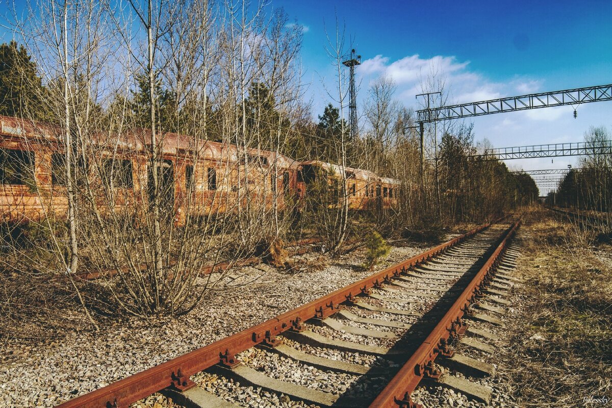 Янов — заброшенная железнодорожная станция Припяти в наши дни. Последний состав уехал в 1986 году