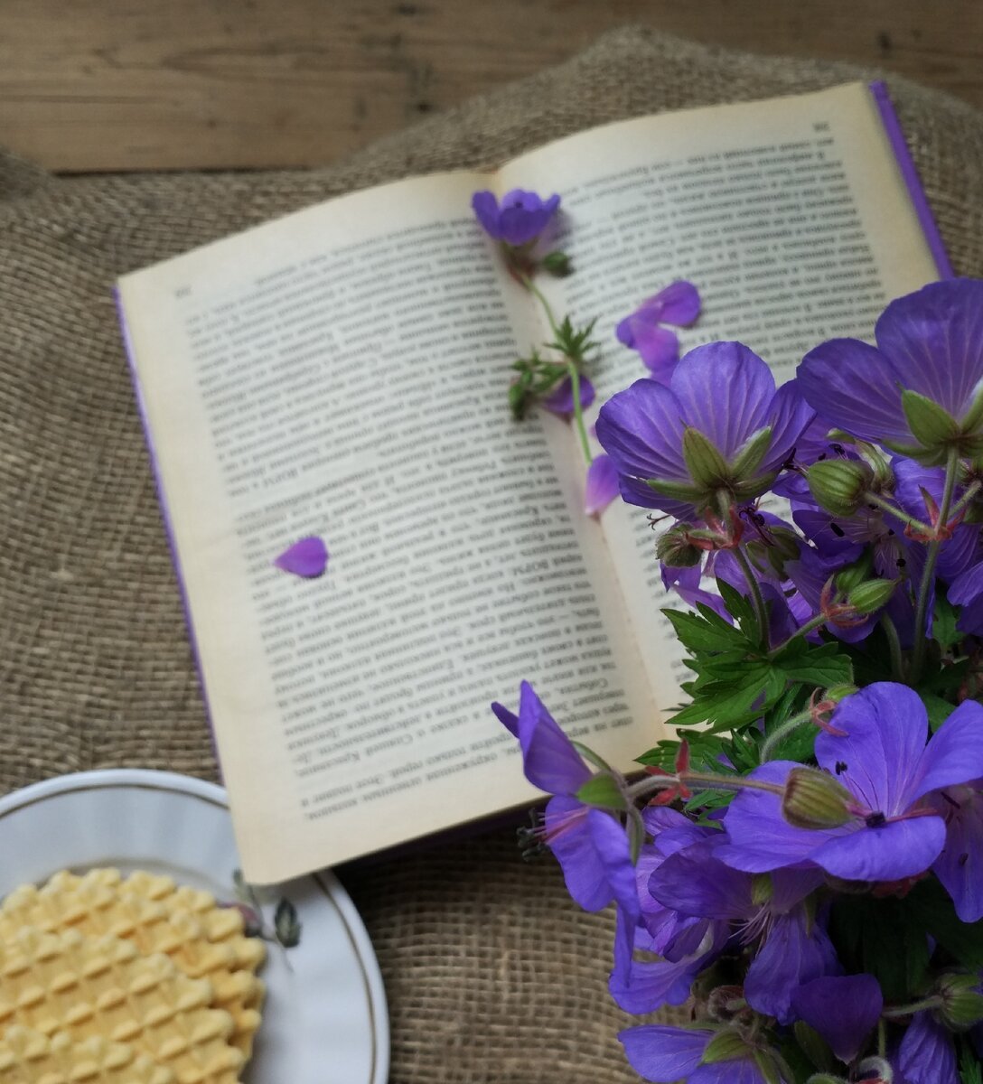 Прочла книгу по писательскому мастерству. Масса эмоций!