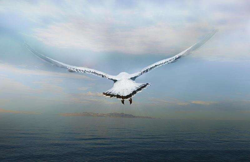 фото взято с просторов интернета, благодарю автора за снимок