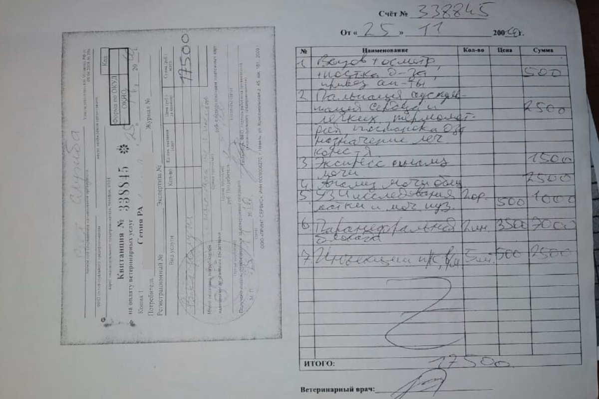 Вызов на дом и впрямь 500 рублей, но об остальном ветврач заранее не предупреждает