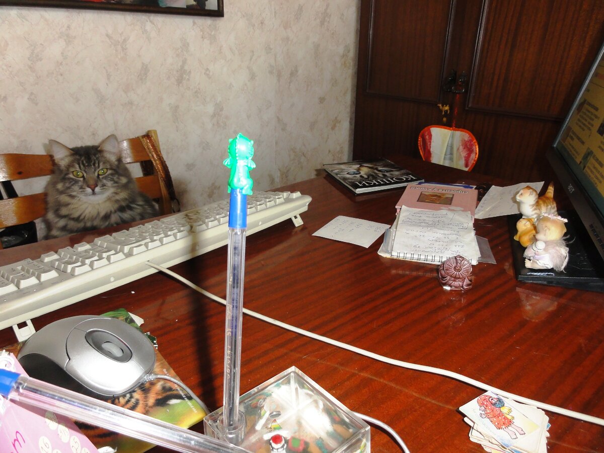 Котогений Вениамин за работой