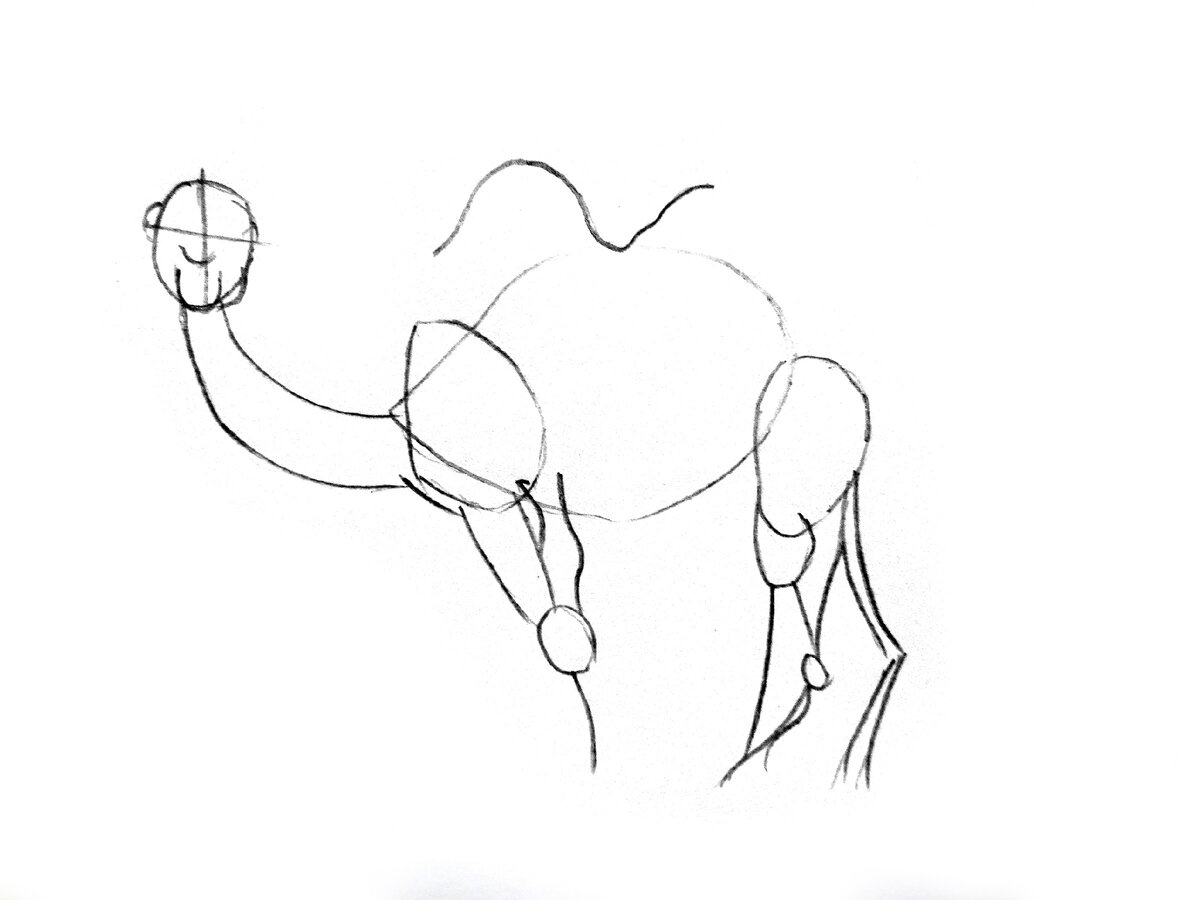 Нарисовать карандашом верблюда легкий