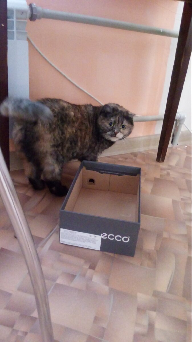 Будем убирать коробку или как?