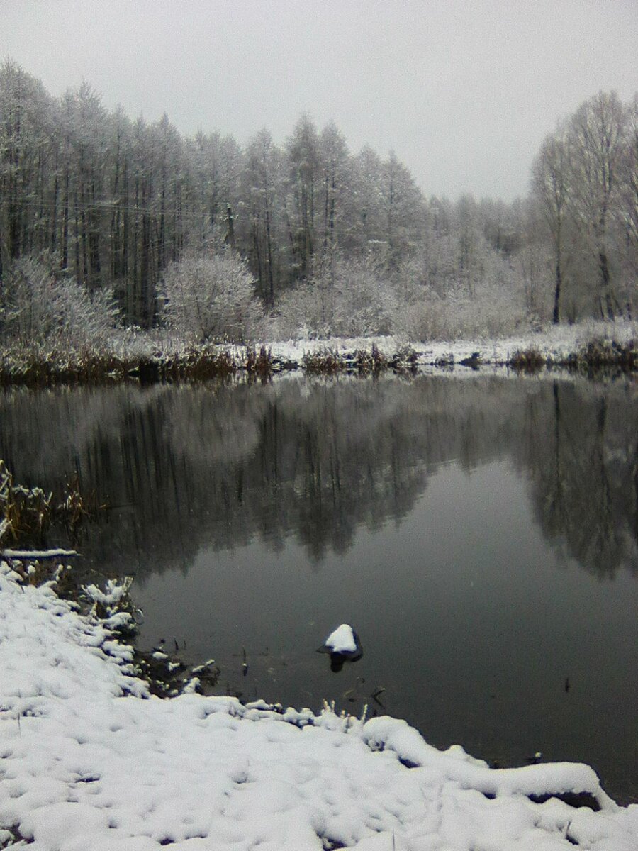 Только ради природы хочется сюда переехать.
