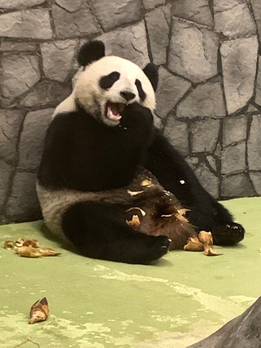 Московский зоопарк