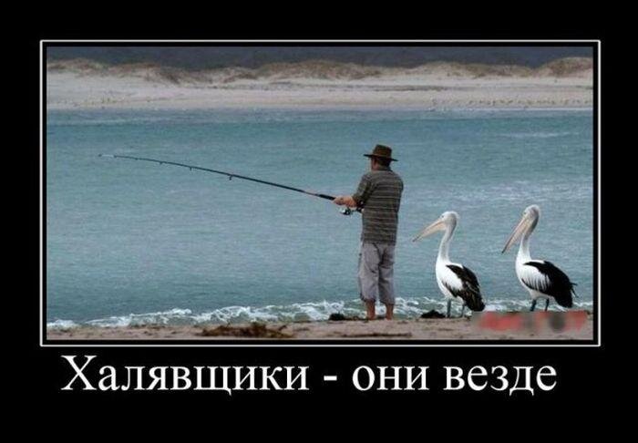 Картинка из открытых источников