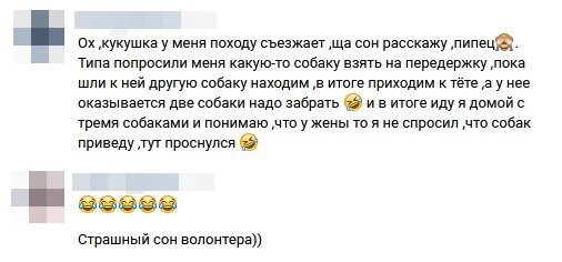 Скриншот из чата волонтёров