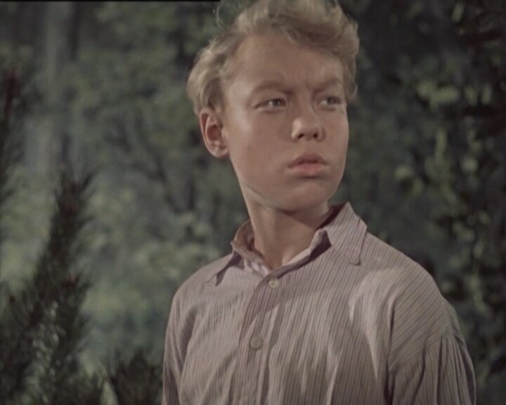 Фото: "Серый разбойник" www.kino-teatr.ru