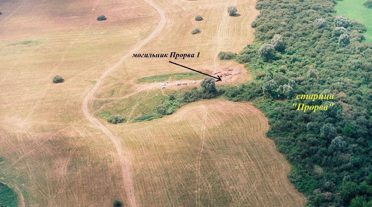 Рис. 14-1. Вид сверху на грунтовый могильник среднеднепровской культуры Прорва 1 в пойме Днепра (Рогачевский микрорегион). Фото Н.Н. Кривальцевича. 1995 г.