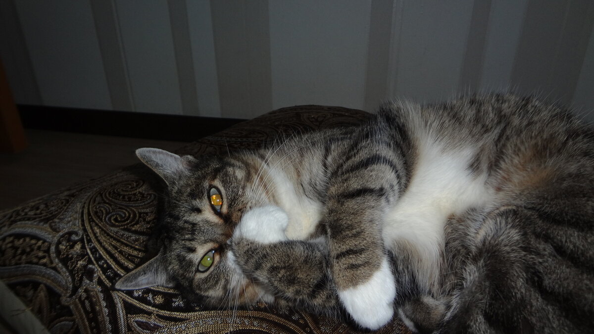 Какой такой носок... Не в курррсе...