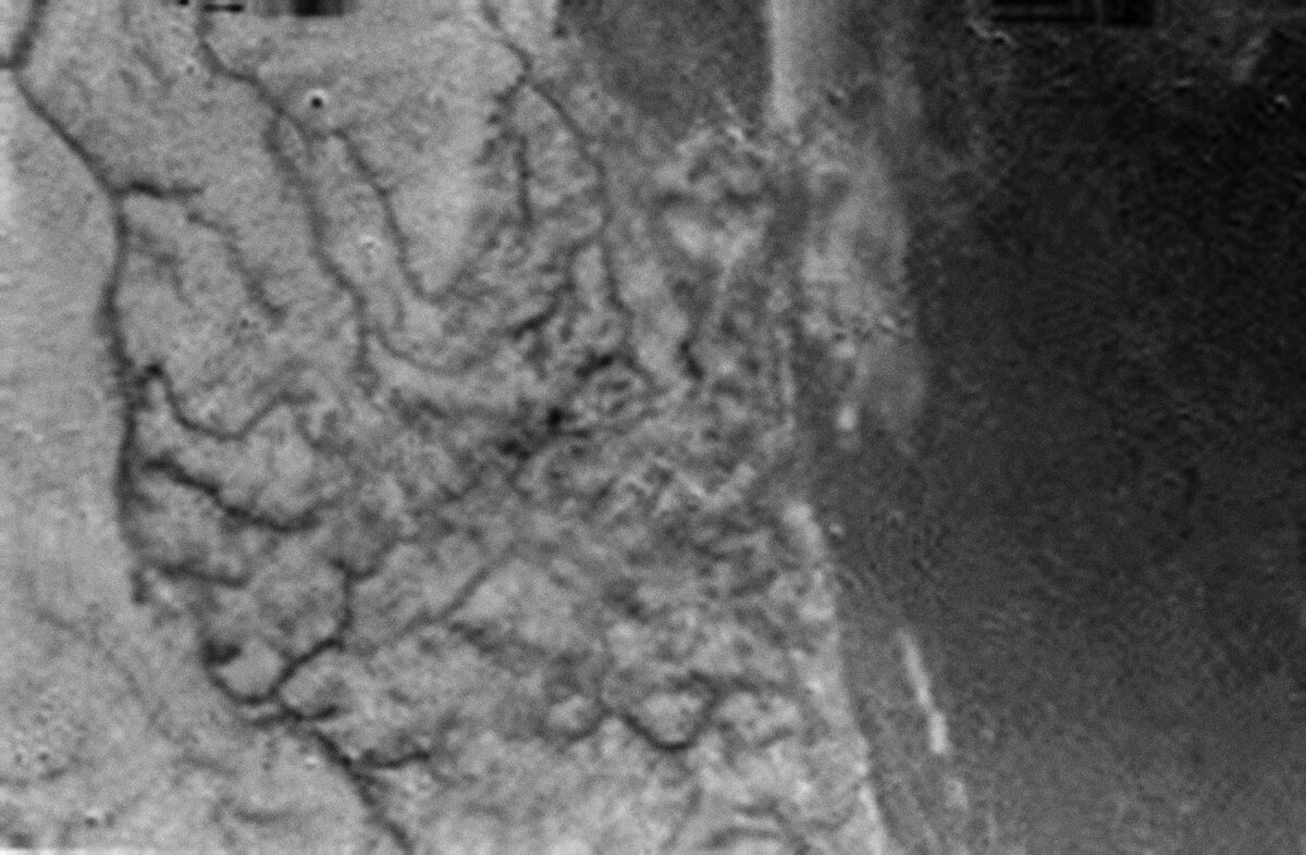 Поверхность Титана с высоты 16.2 км: следы потоков жидкости очевидны.