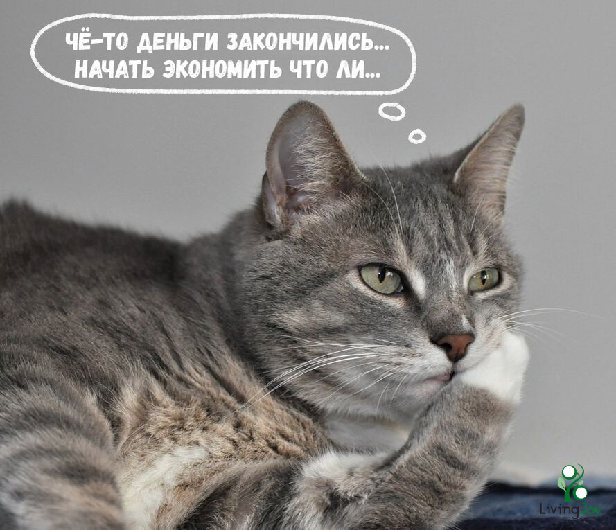 Как начать экономить уже сегодня?