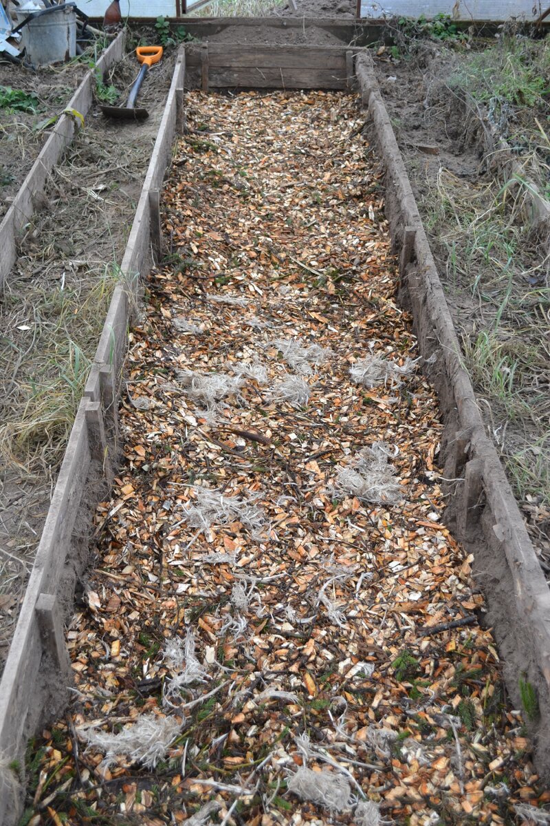 Предпоследний компонент "пирога" щепа лиственных пород