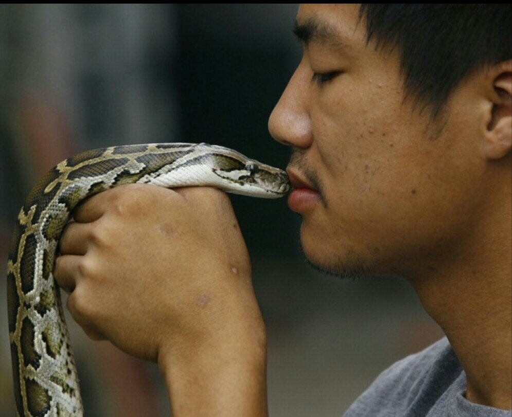Как стать змеей