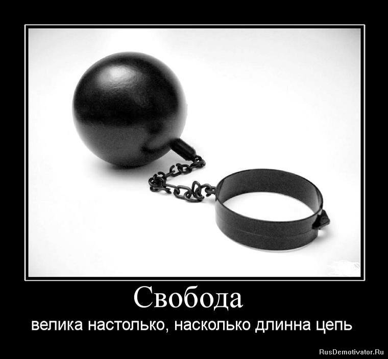 фото из открытого источника.