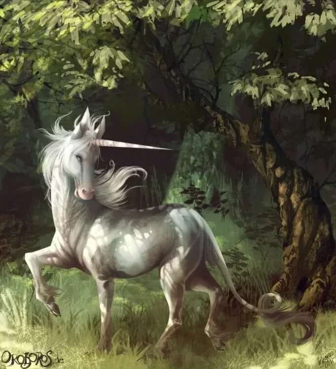 Первый единорог. Единорог мифическое существо. Мифические животные Единорог. Единорог (мифология). Единорог мистическое существо.