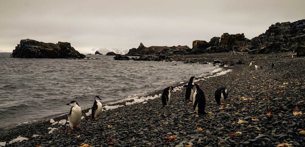 Фото chrisontour84.de