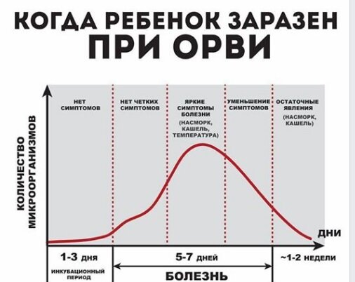 Фото: график протекания болезни