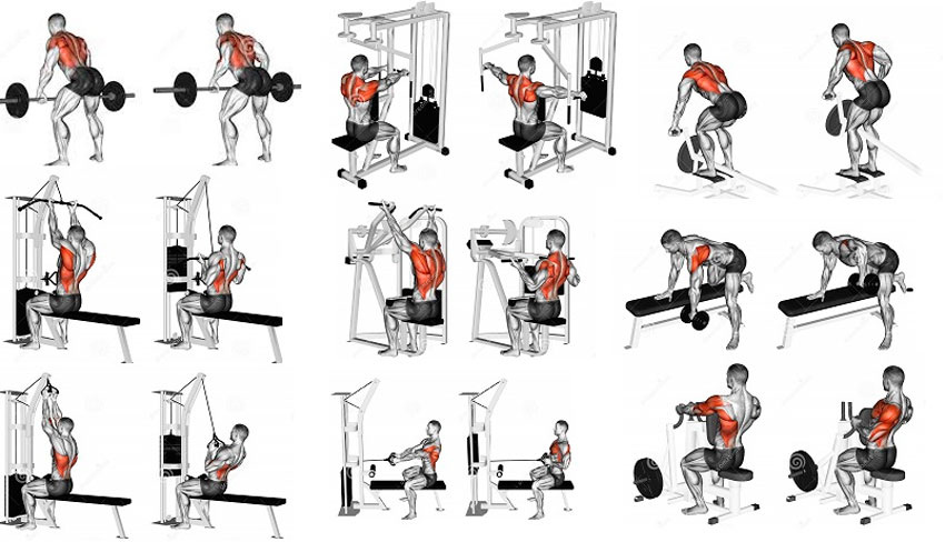 Тренажеры для спины в тренажерном зале для мужчин