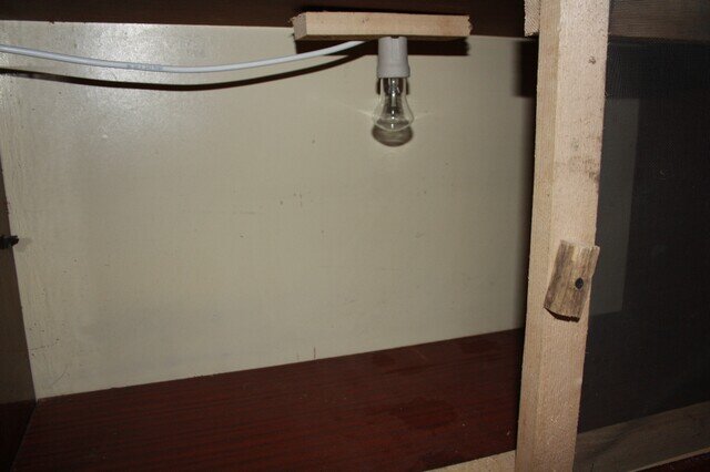 Из старого книжного шкафа.