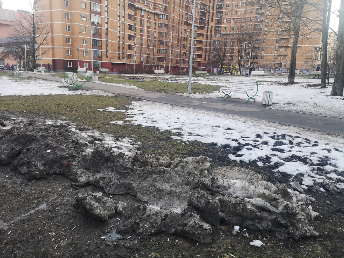 В Москве весна, дворы сверкают лужами, и под ногами расцветают 