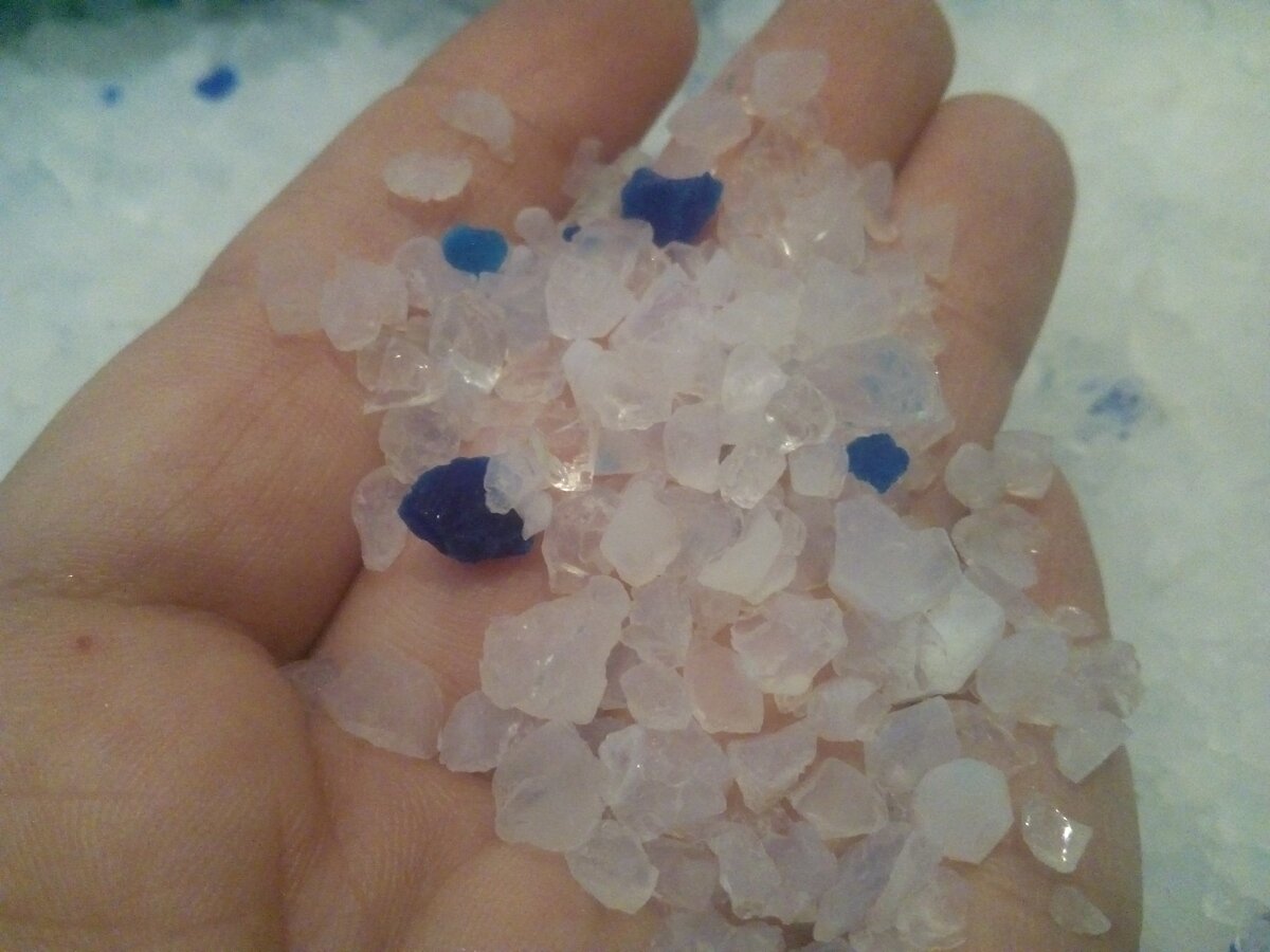 Силикагелевый наполнитель для кошачьего туалета. Обзор и тестирование ...