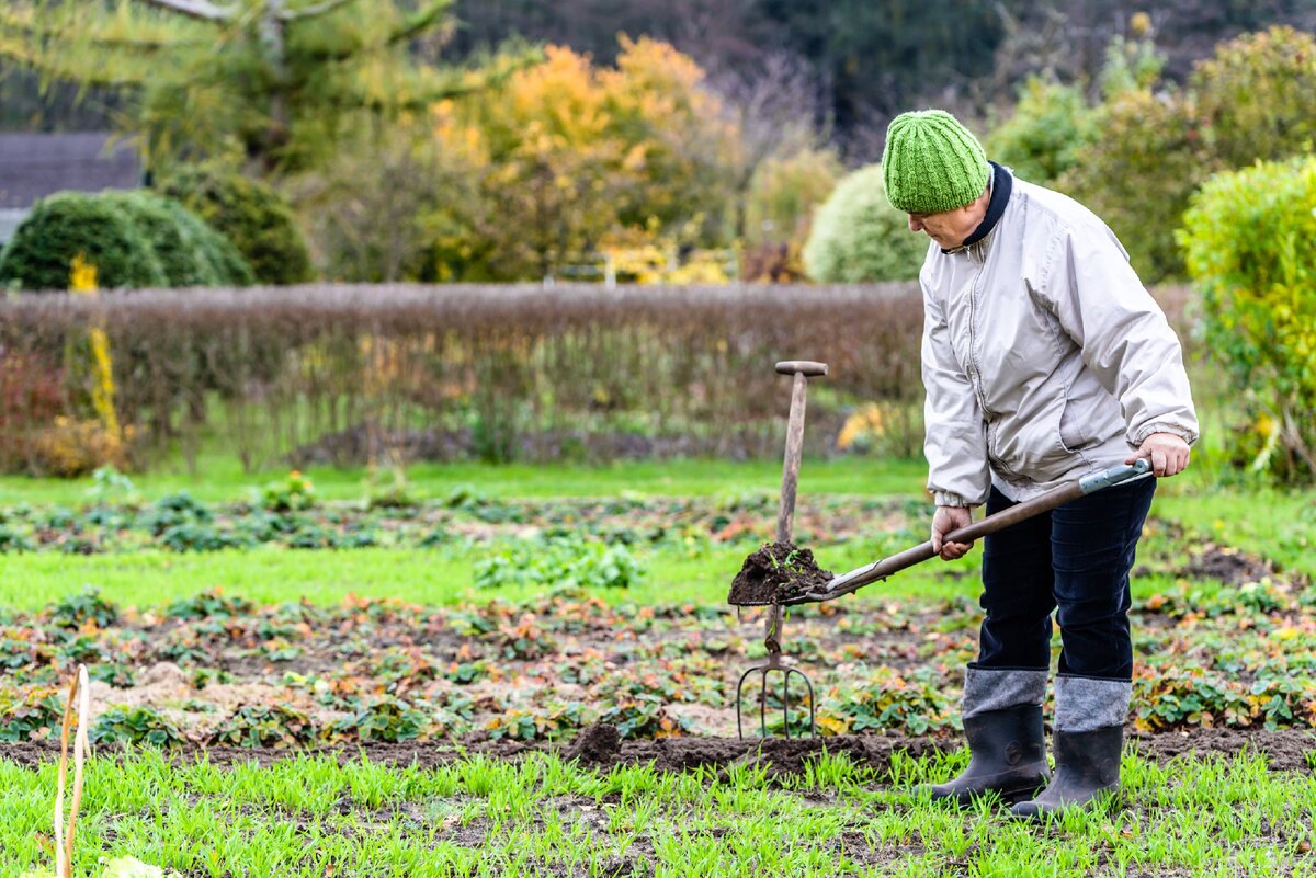 Фото: Cultivationstreet.com