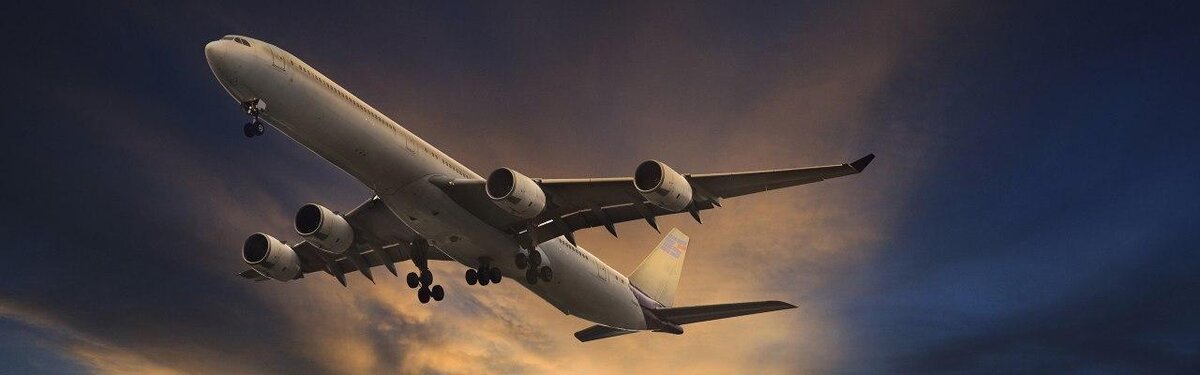 Дэвид Филлипс - в отпуск за счёт производителя пудинга.