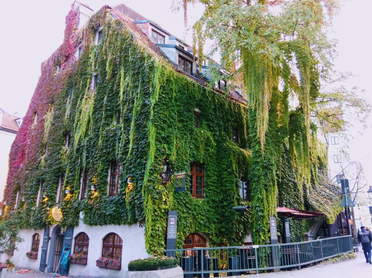 Зелёный дом, г. Мюнхен, Германия