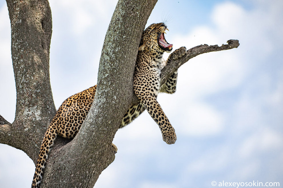Фото с сайта Яндекс картинки.