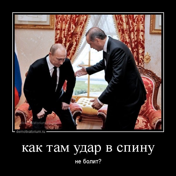 иллюстрация из открытых интернет-источников