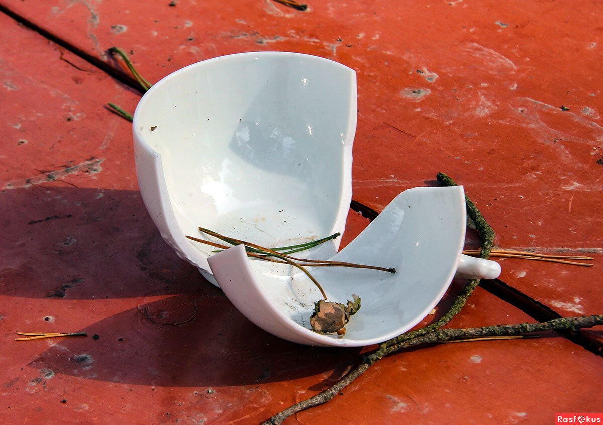 фото из открытых источников  