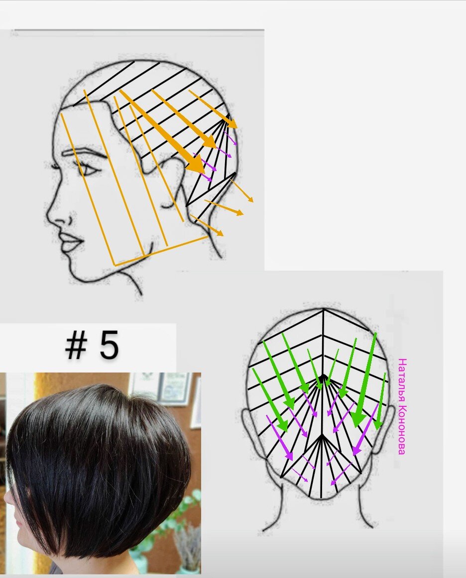 Стрижка боб каре схема выполнения стрижки