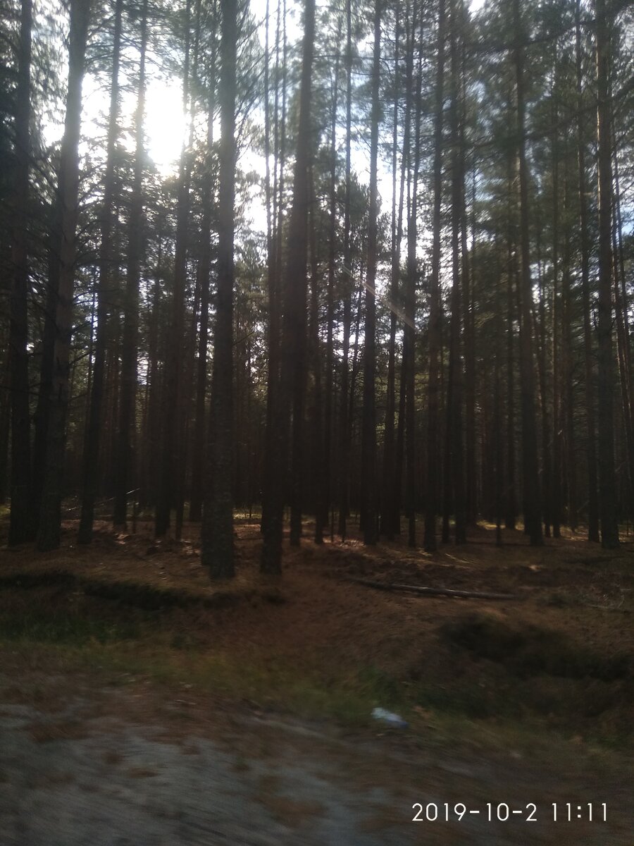 Чайно-кофейные посиделки.