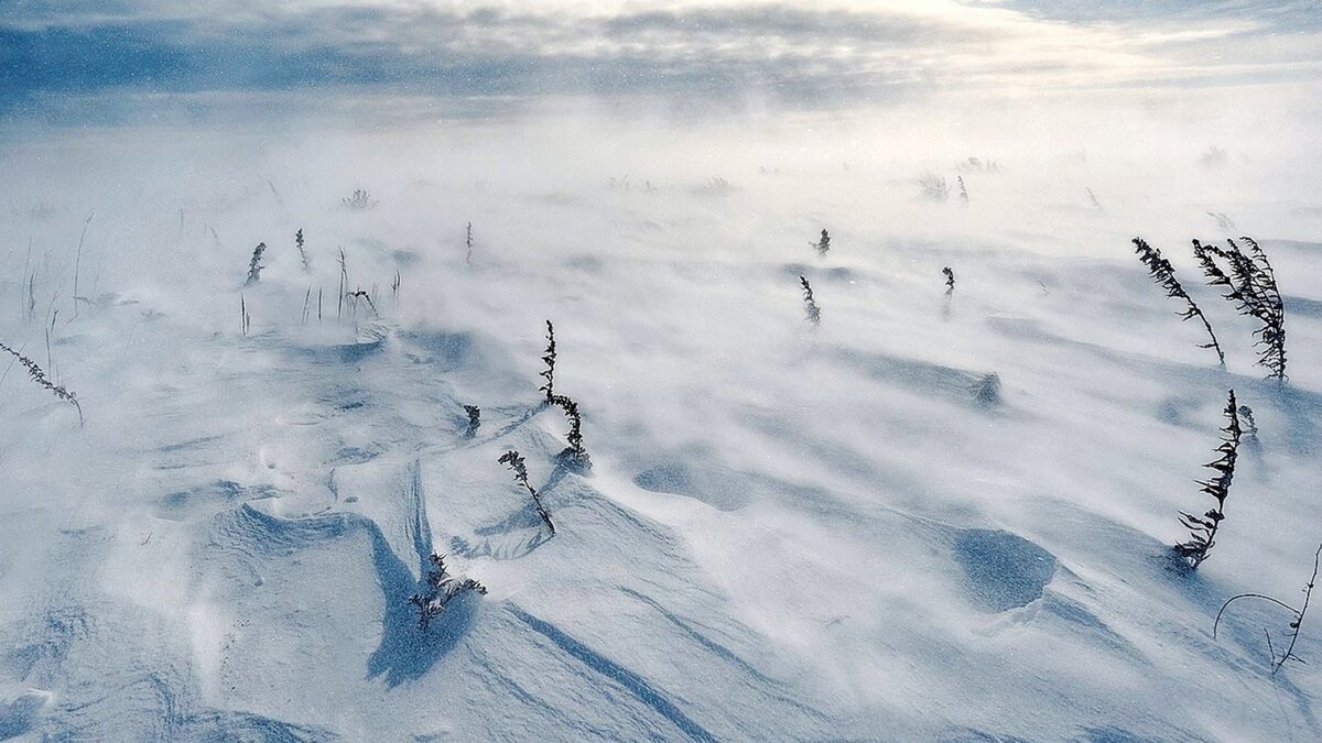 Подкрадывается незаметно...