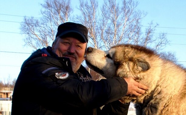 Мы пройдем маршрутом их Через пролив, на материк,
И встретит нас каюр старик
На берегу Нивхгу!
Потом опять в обратный путь
На Сахалин, где ветер вольный,
Помчит упряжка, словно клин,
На землю, что похожая на волны.
След от нарт, отпечатки лап
Уносит в даль собачий лай.
Как в млечный путь, их не вернуть
Как в вечный зов — в "Созвездье псов"
Дмитрий Гирев!
Сергей Любых!
Дмитрий Гирев!
Сергей Любых!
Мы помним их и помнит нивх.
Николай Чалкин   
