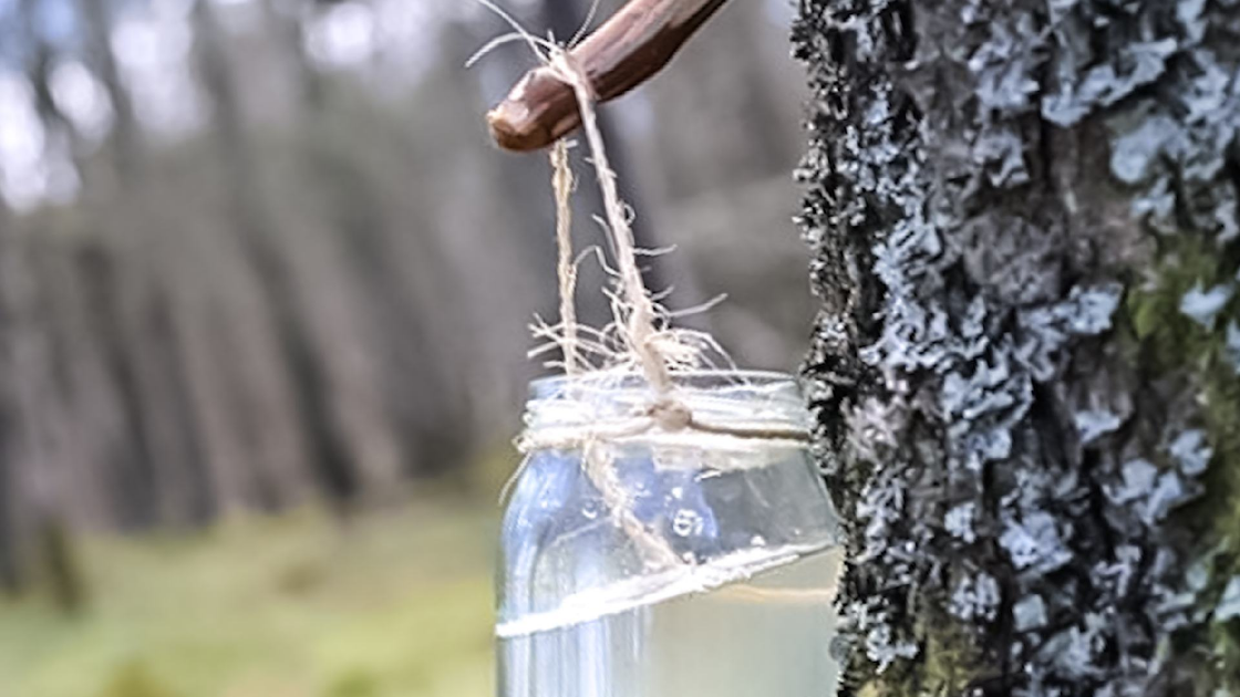 Поощрением для автора будет ваш лайк и подписка на канал. Спасибо