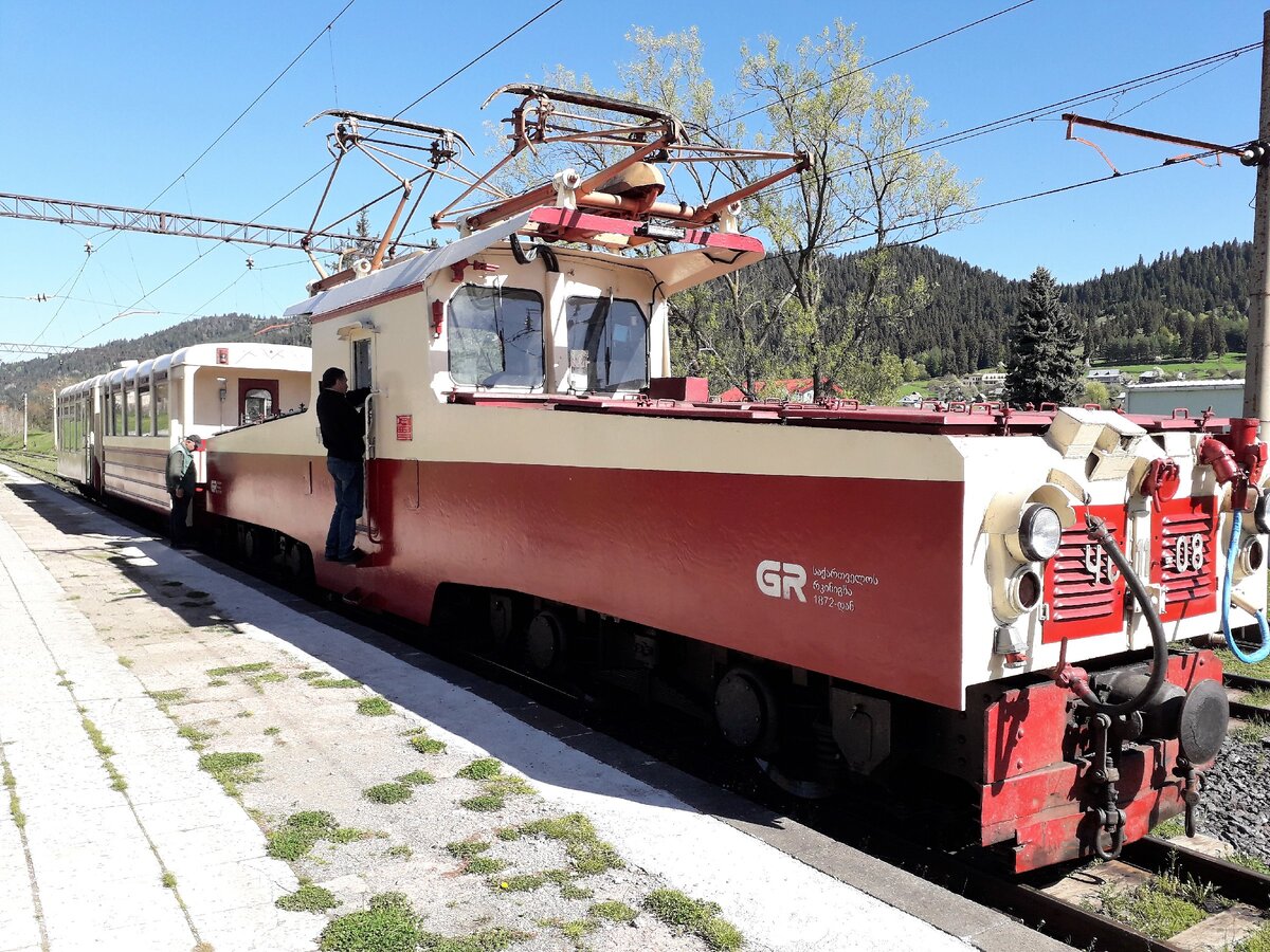 Кукушка. Бакуриани.                                     photo Natasha Mazurina