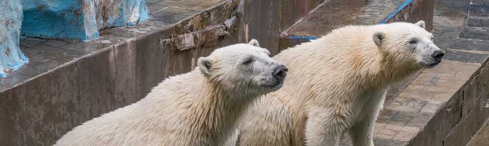 Фото: Кирилл Буньков