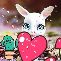 Ненужные подарки