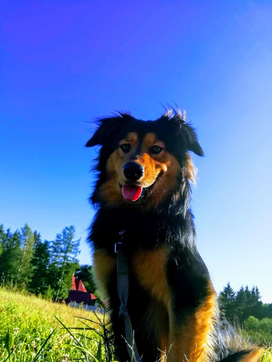 На прогулке