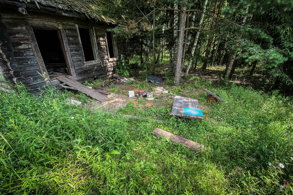 Нашел в лесу. Старинные дома заброшенные найденные в лесу. Заброшенный дом в лесу в Москве. Заброшенная Вега в лесу. Заброшенные дома в лесу в Нижнем Тагиле.